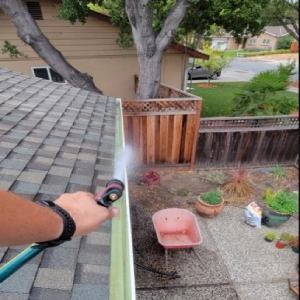 Gutter Cleaning
