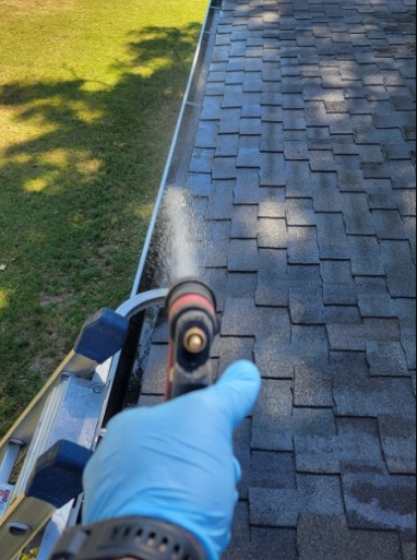 Gutter Cleaning Services in San Jose